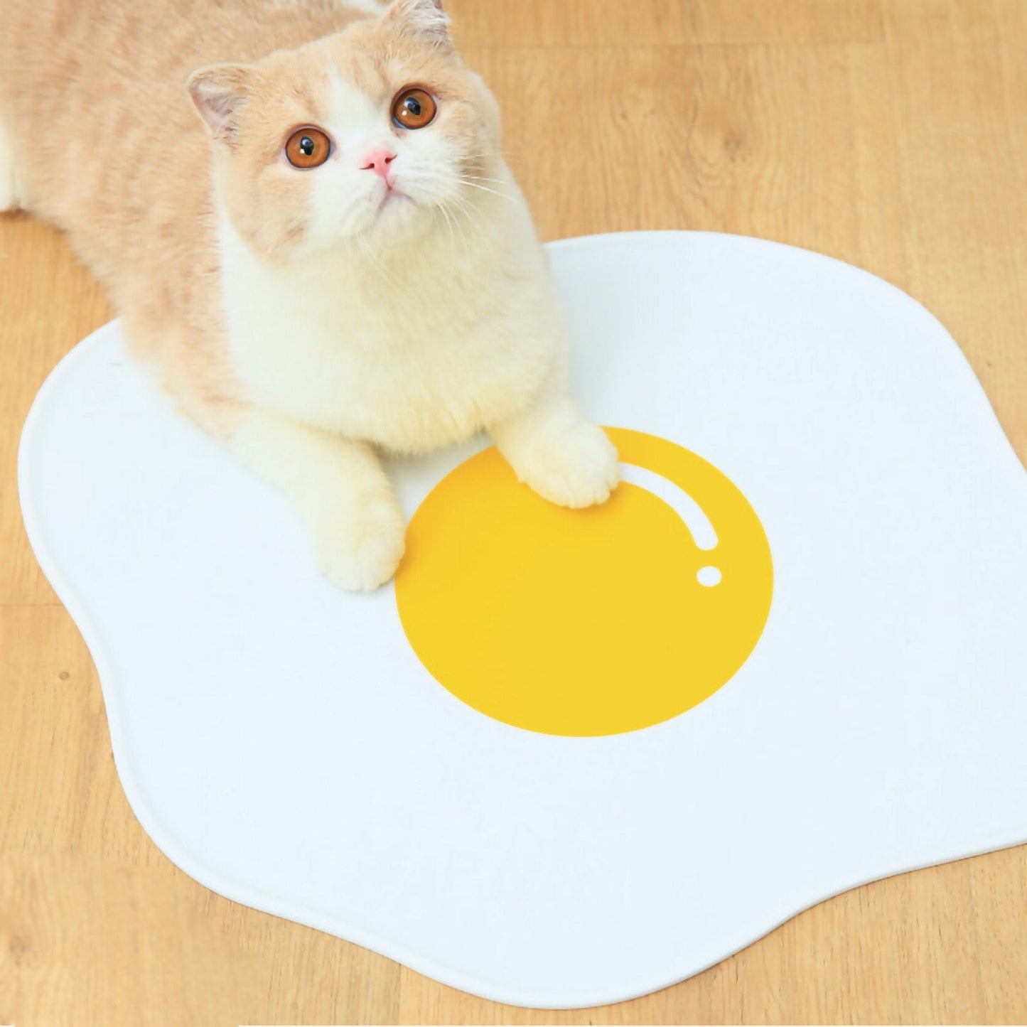 Poached Egg Pet Placemat