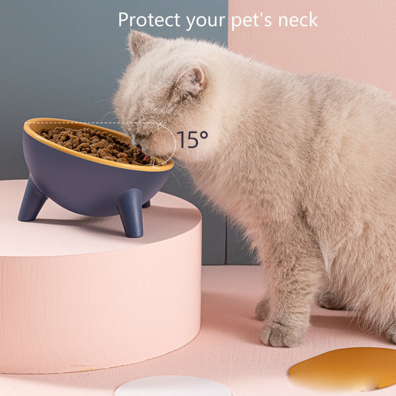 Nordic Color Pet Bowl With Stand