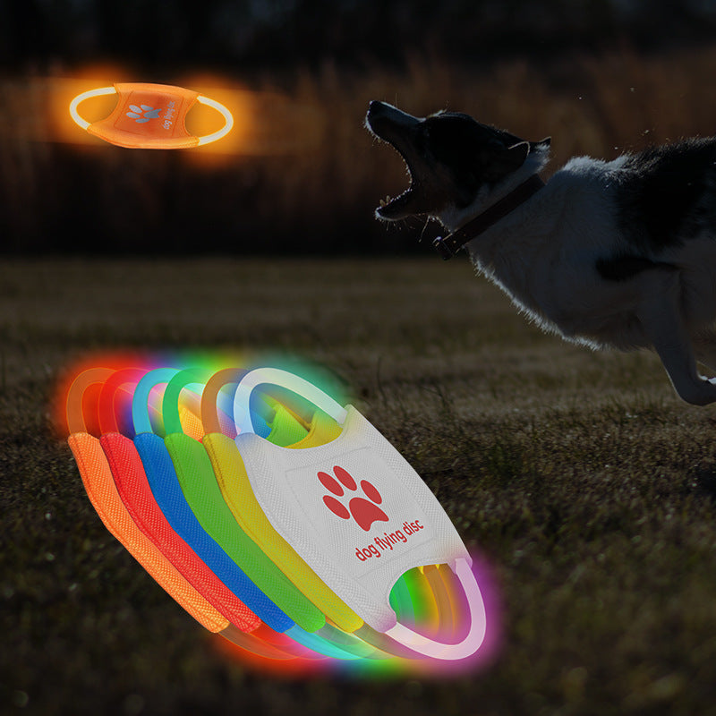 LED Light-Up Dog Flying Discs