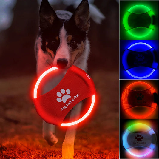 LED Light-Up Dog Flying Discs