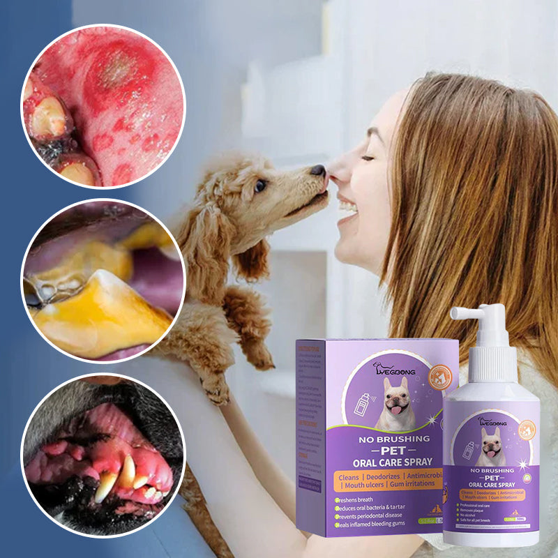 Teeth Cleaning Spray for Dogs & Cats