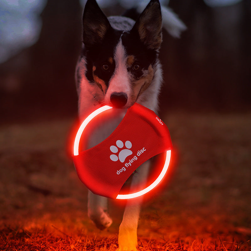 LED Light-Up Dog Flying Discs